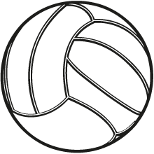 Volleyball bei Wilde Wespen Steinach e.V.