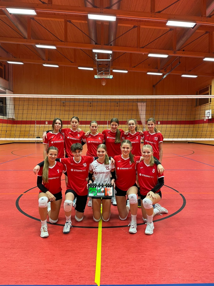 Wespen Herren beenden Saison auf Rang sechs - Wilde Wespen Steinach e.V.