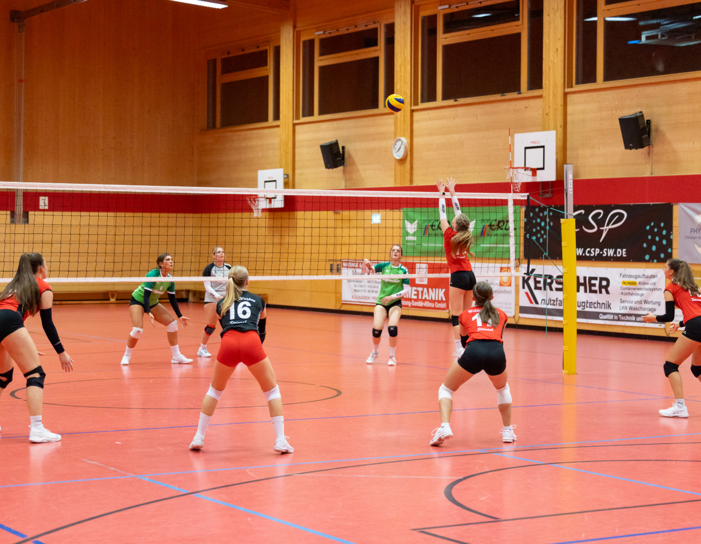 Volleyball mit dem Damen der Wilden Wespen