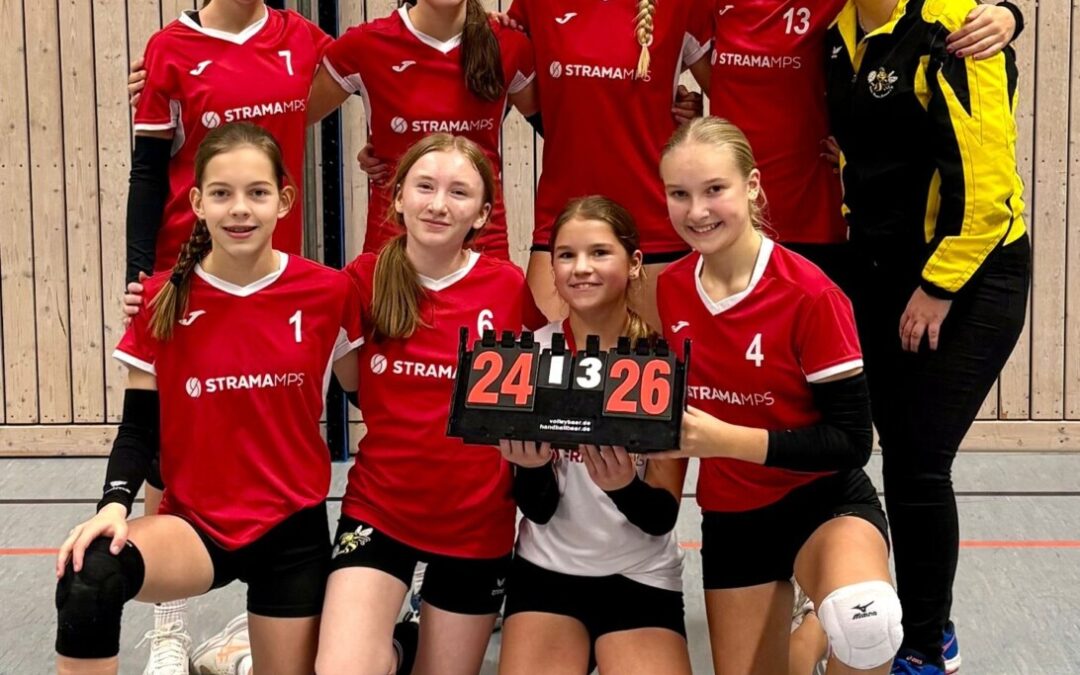 Sieben Wespenteams am vergangenen Wochenende im Einsatz